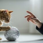 まとめ：猫とアルミホイルの安全な付き合い方