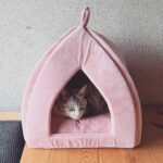 はじめまして！「みどりまとめ」運営者の〇〇です。